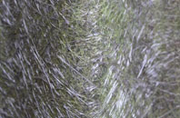 Garsington fibreglass roof work